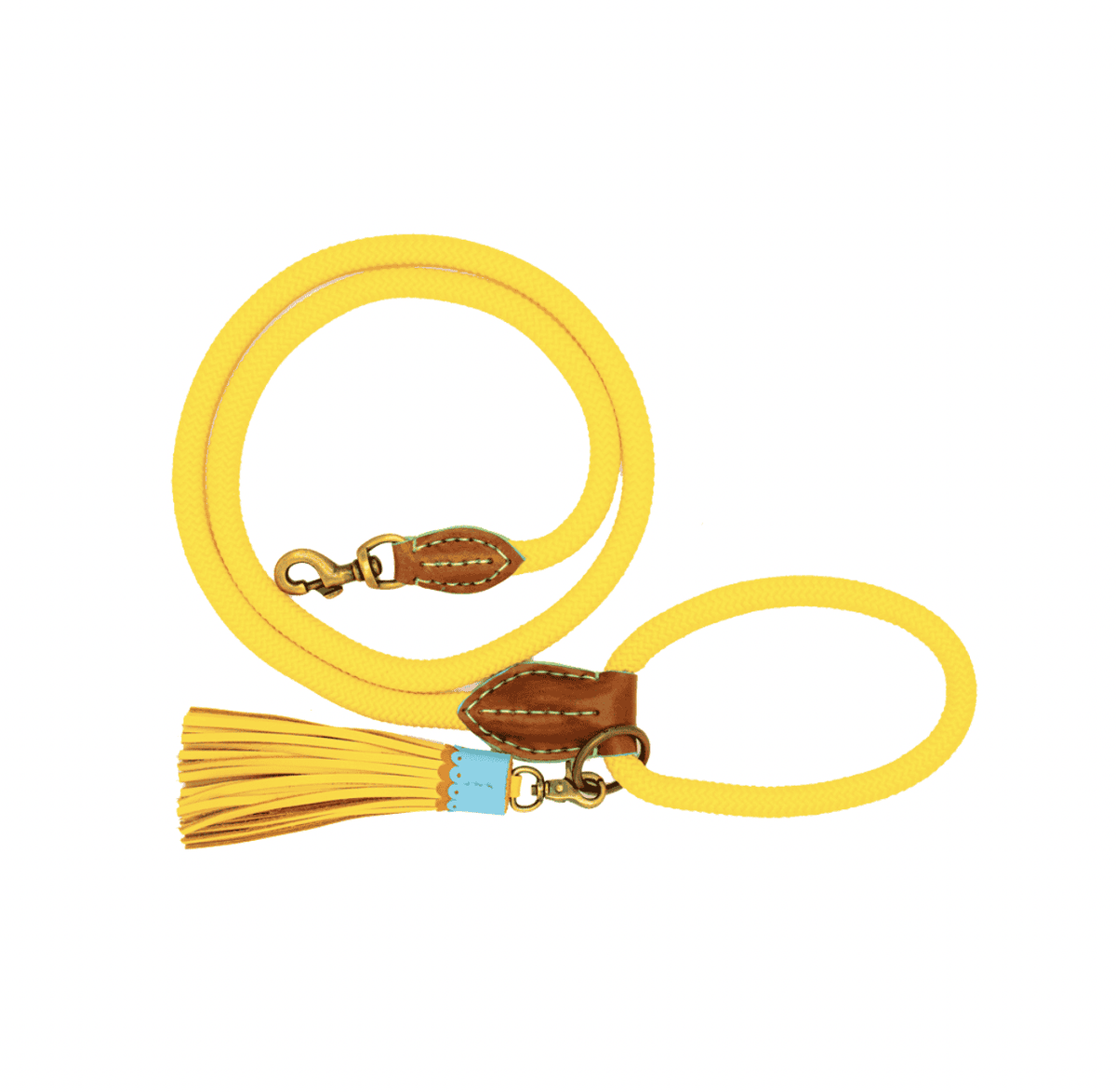Leash Sunny