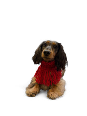 Hondensjaalkraag rood