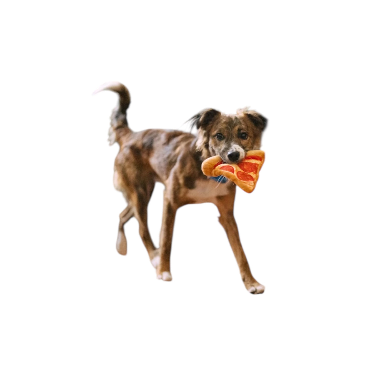 Pizza puppy-roni