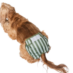 Period pants strepen