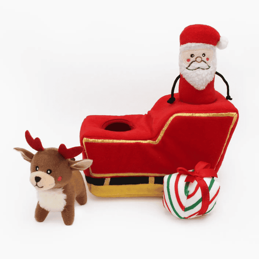 Santa's Sleigh