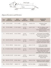 Golden Dreams Alpaca Dog Sweater