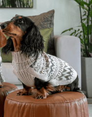 Woolly Winter Alpaca Dog Sweater