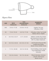 Woolly Winter Dog Hat