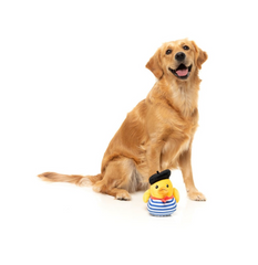 Timothée Chalaquack