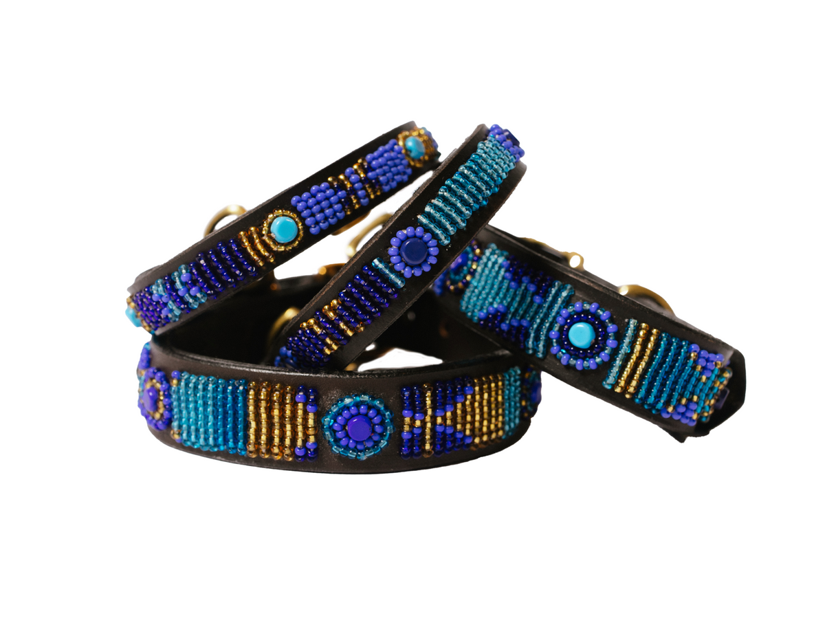 Charlie's collar