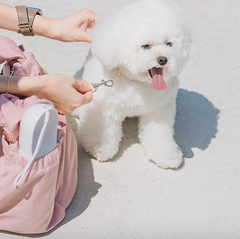 Snuggle petite pet carrier roze S