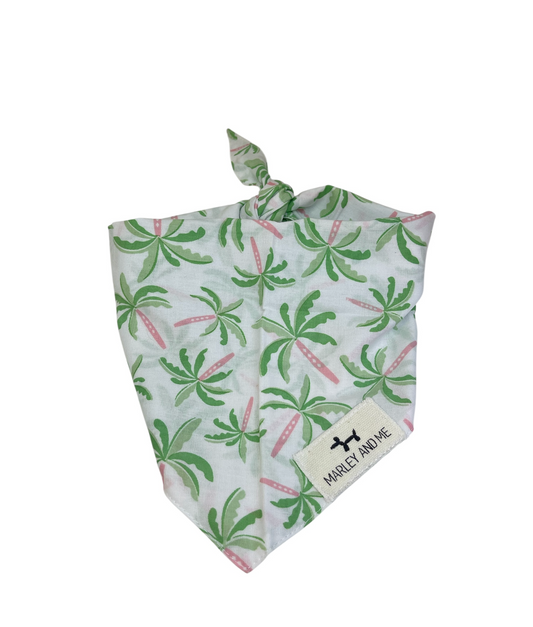Bandana Palm tree