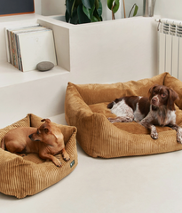 Hondenmand Snozy velvet mosterd