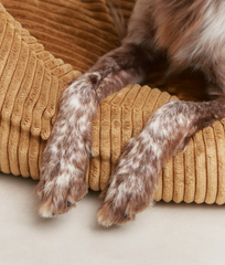 Hondenmand Snozy velvet mosterd