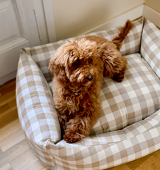 Hondenmand Vichy beige