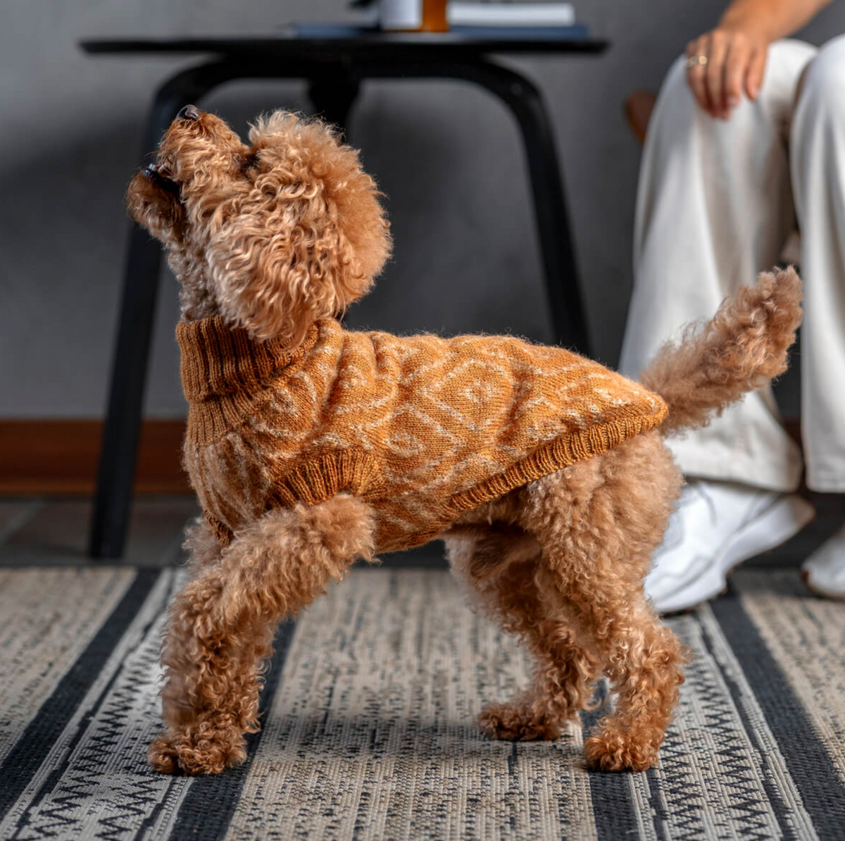 Golden Ocher Alpaca Dog Sweater
