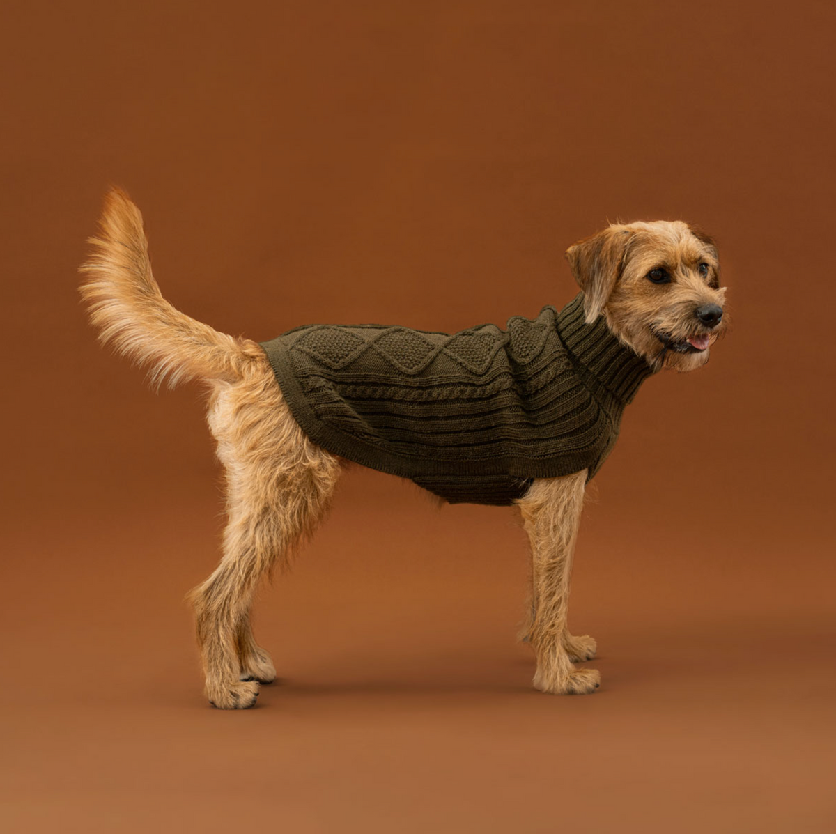 Forest green Aran Alpaca dog sweater
