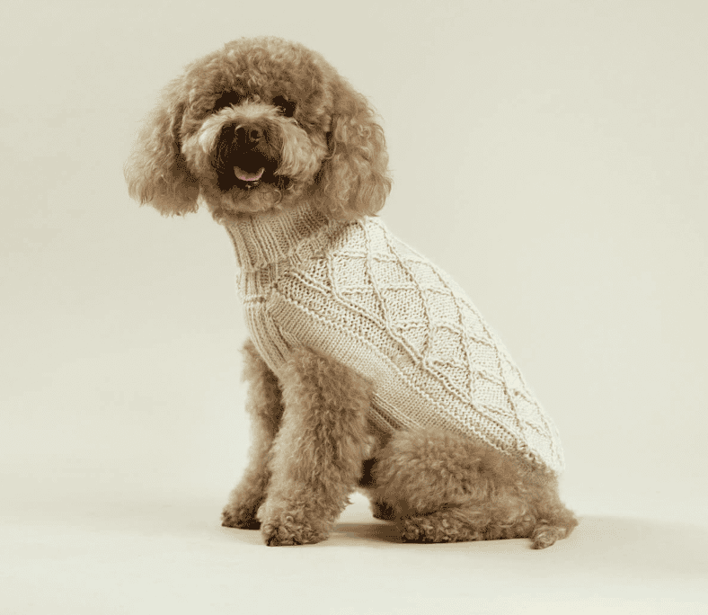 Diamond knit dog sweater