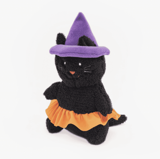 Black witch cat