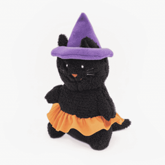 Black witch cat