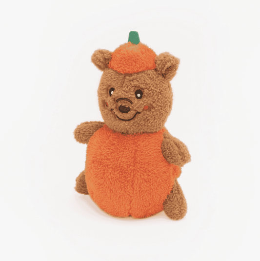 Pumpkin bear