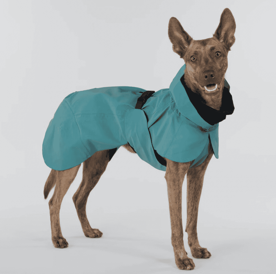 Visibility raincoat emerald