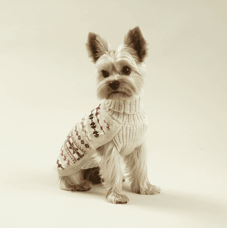 Aurora alpaca dog sweater