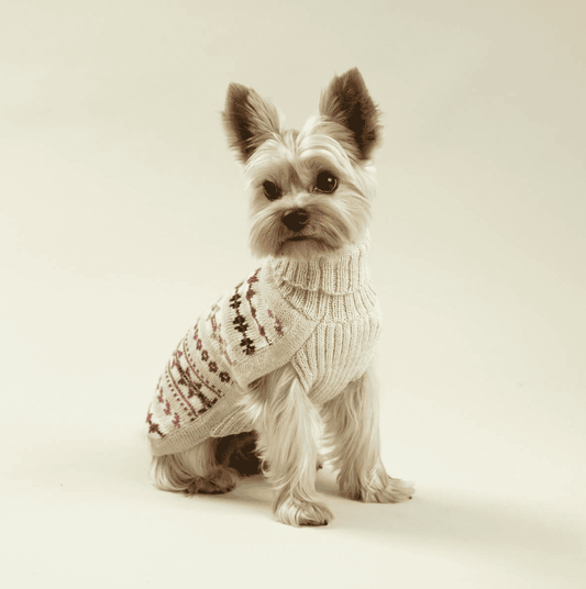 Aurora alpaca dog sweater