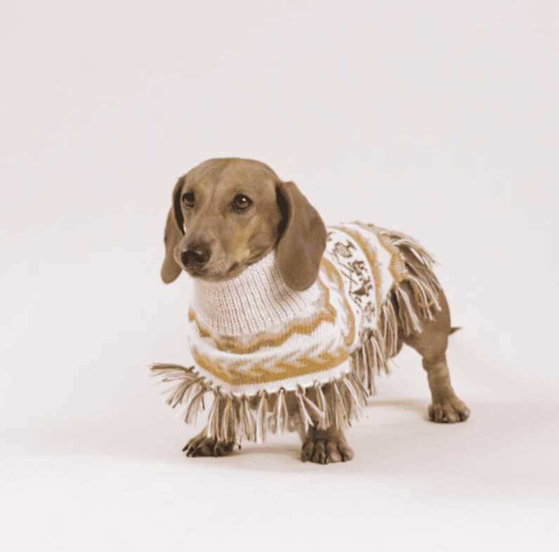 Poncho pour chien en alpaga naturel lama
