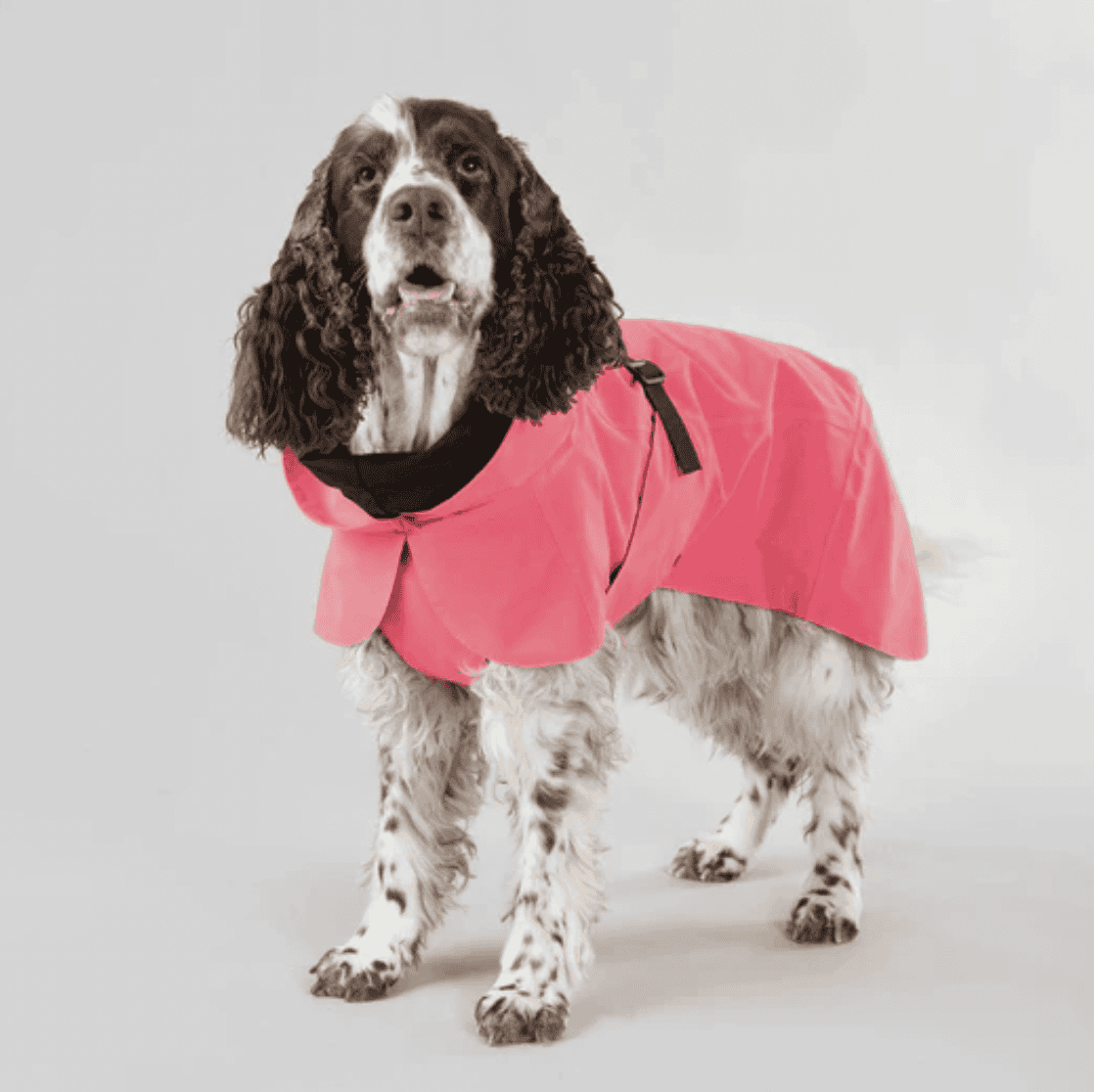 Visibility raincoat lite hot pink