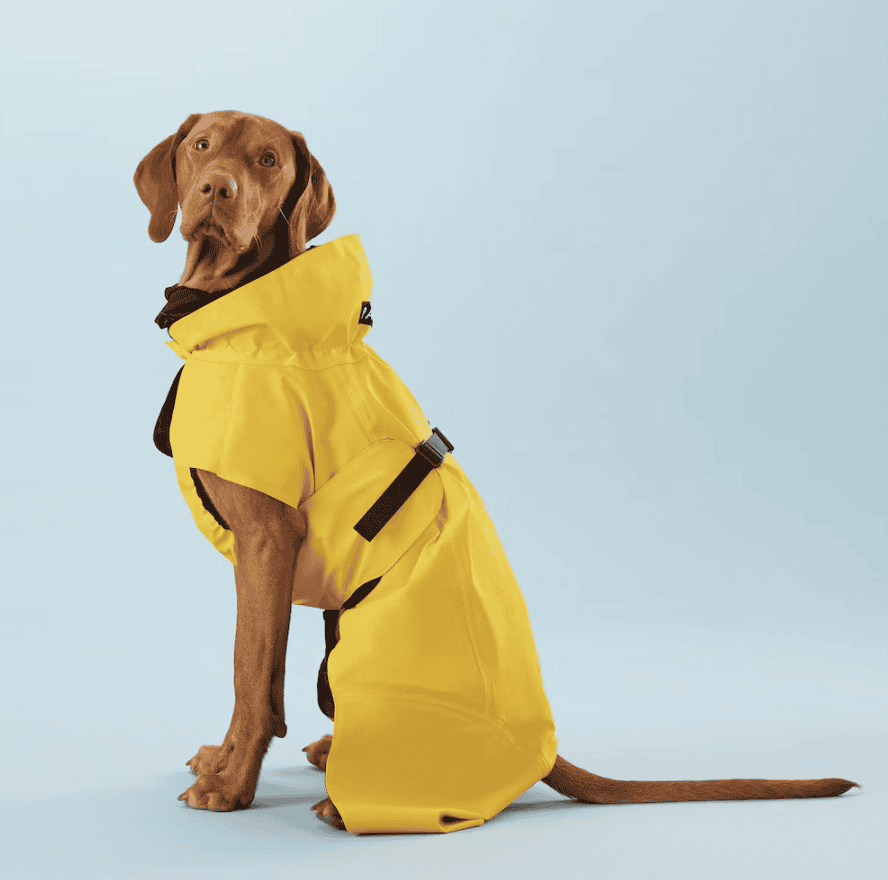 Visibility raincoat lite yellow