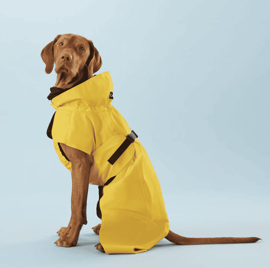 Visibility raincoat lite yellow