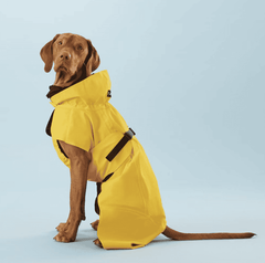 Visibility raincoat lite yellow