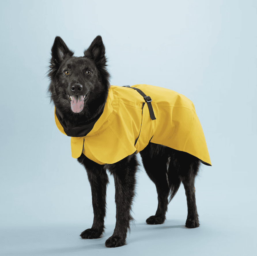 Visibility raincoat lite yellow