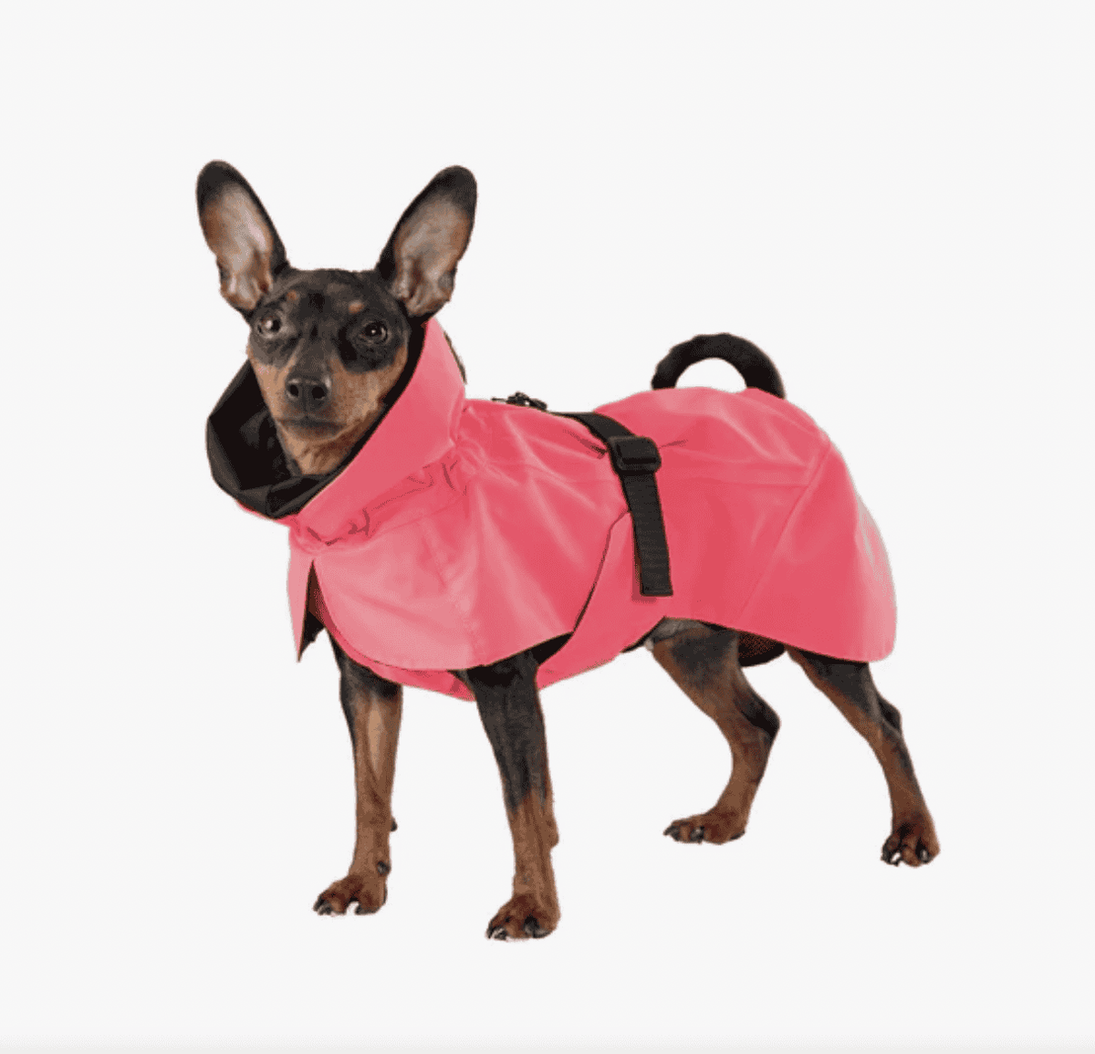 Visibility raincoat lite hot pink