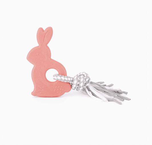 Teether Bonnie the Bunny