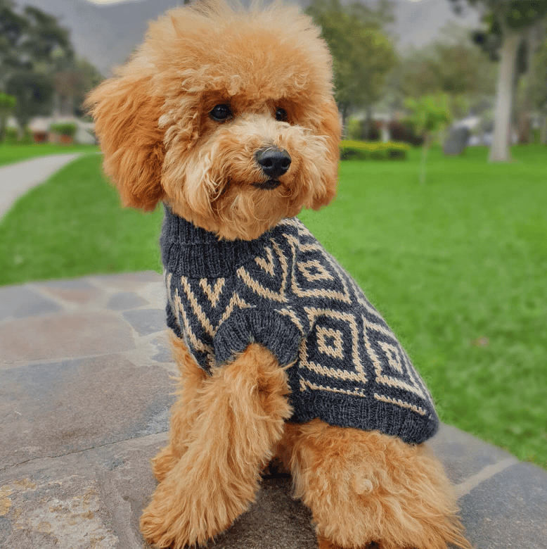 Rhombus Alpaca Dog Sweater