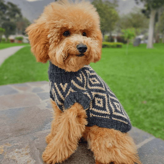 Rhombus Alpaca Dog Sweater