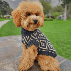 Rhombus Alpaca Dog Sweater