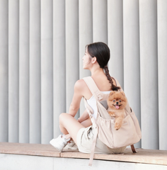 Let's Adventure voor- en achterdrager