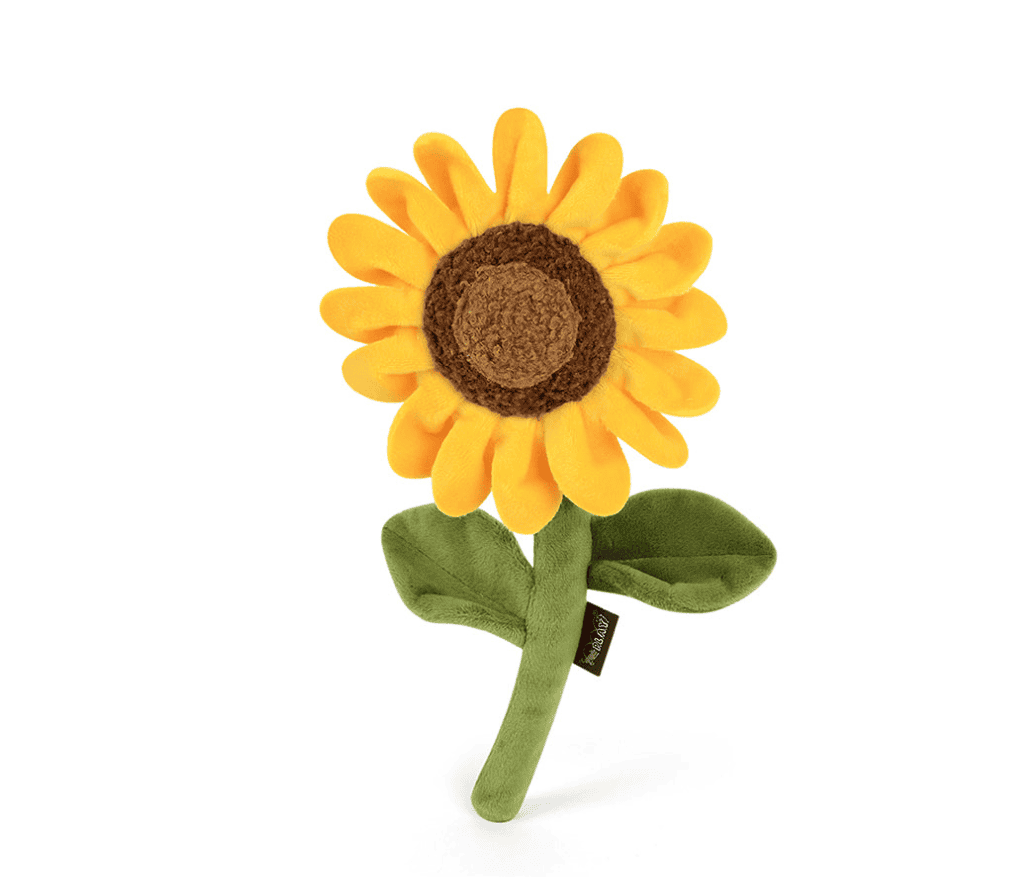 Sassy sunflower