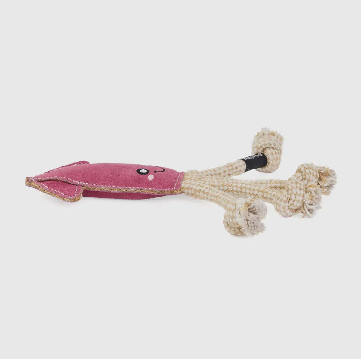 Squid