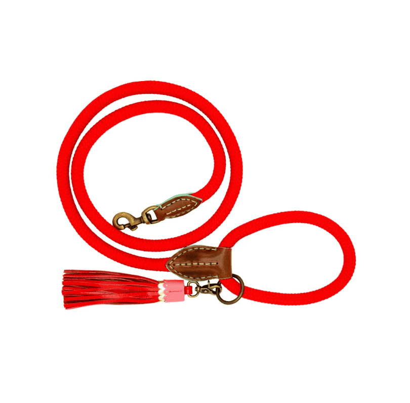 Red velvet dog leash