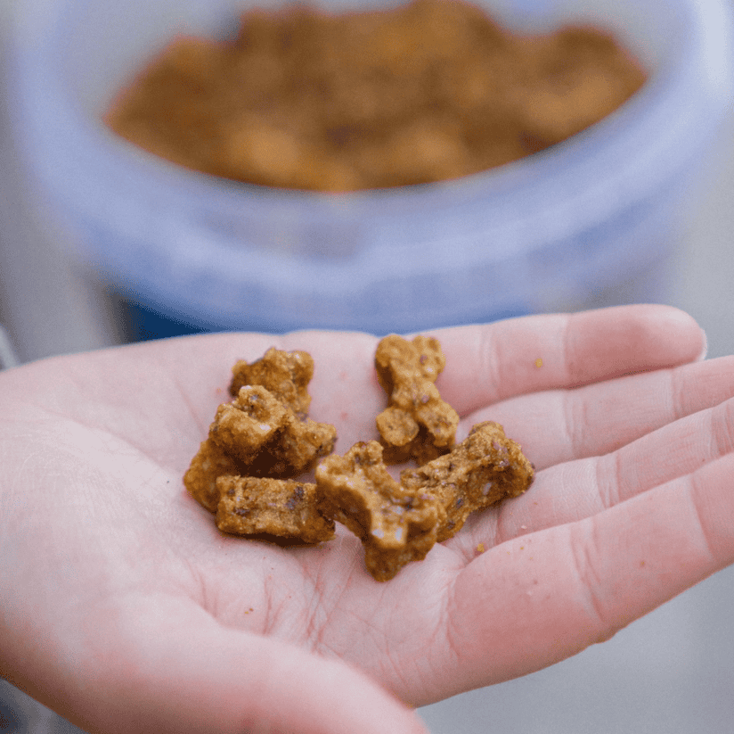 Beef training snack