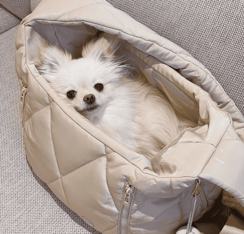 Cloud Crossbody Latte