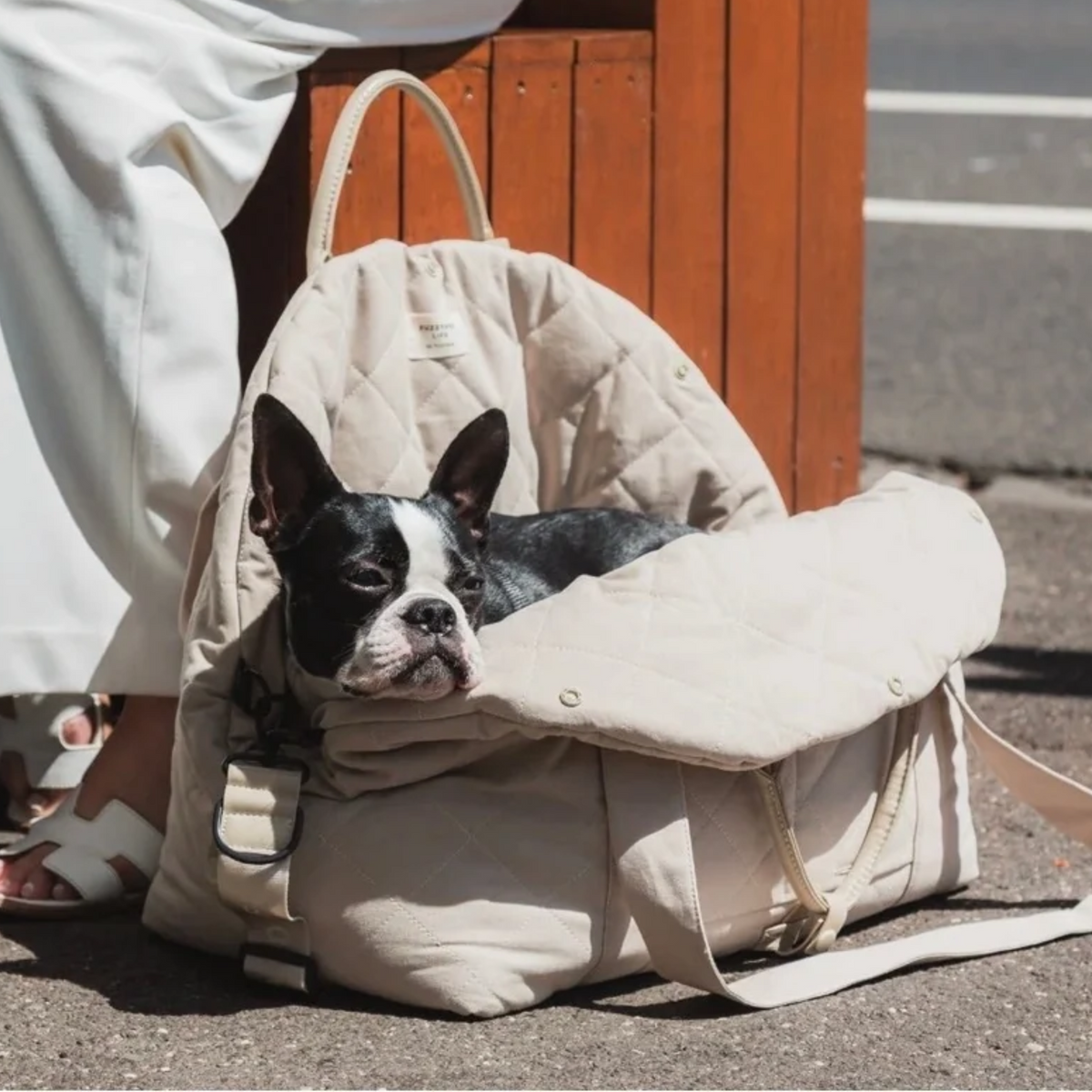 Multipurpose carrier & carseat sandstone