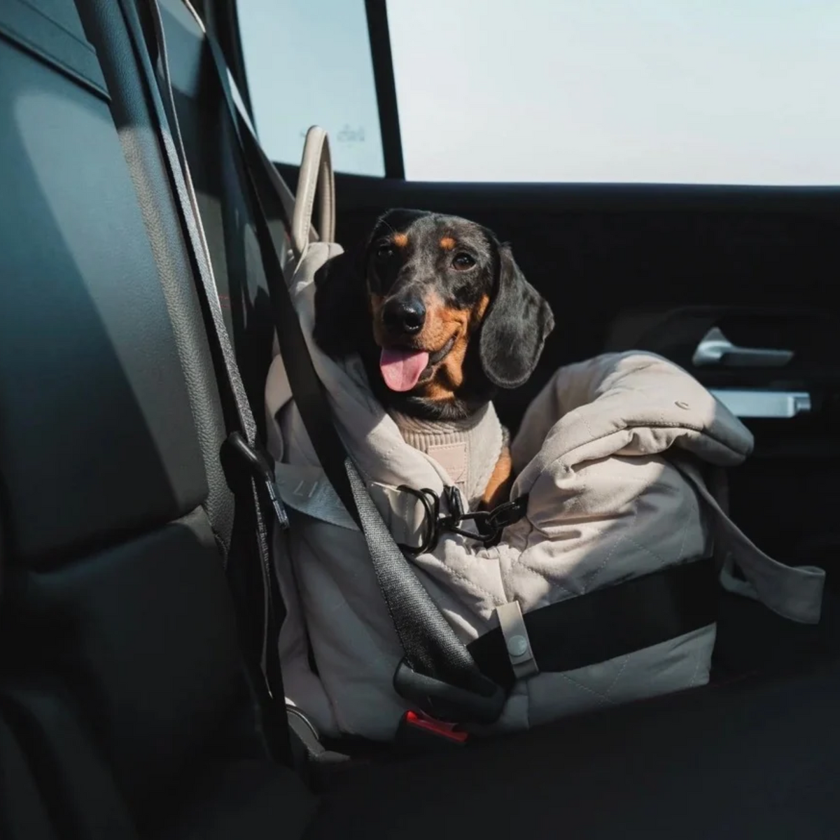 Multipurpose carrier & carseat sandstone