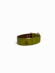 Halsband Branni groen