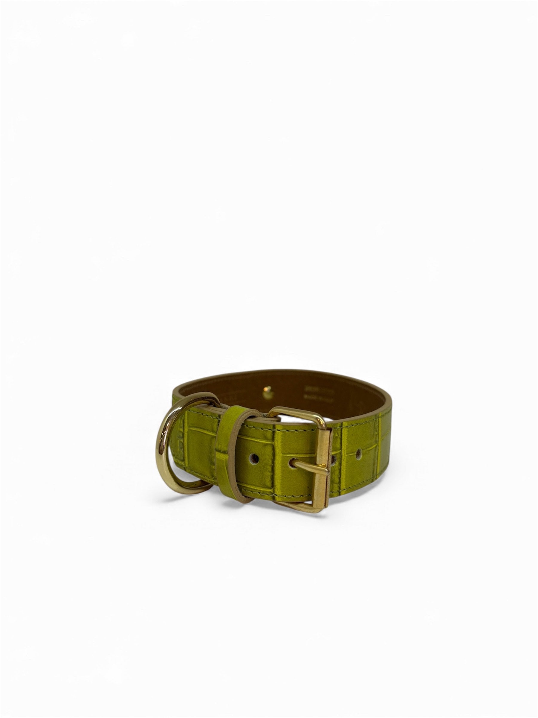 Halsband Branni groen