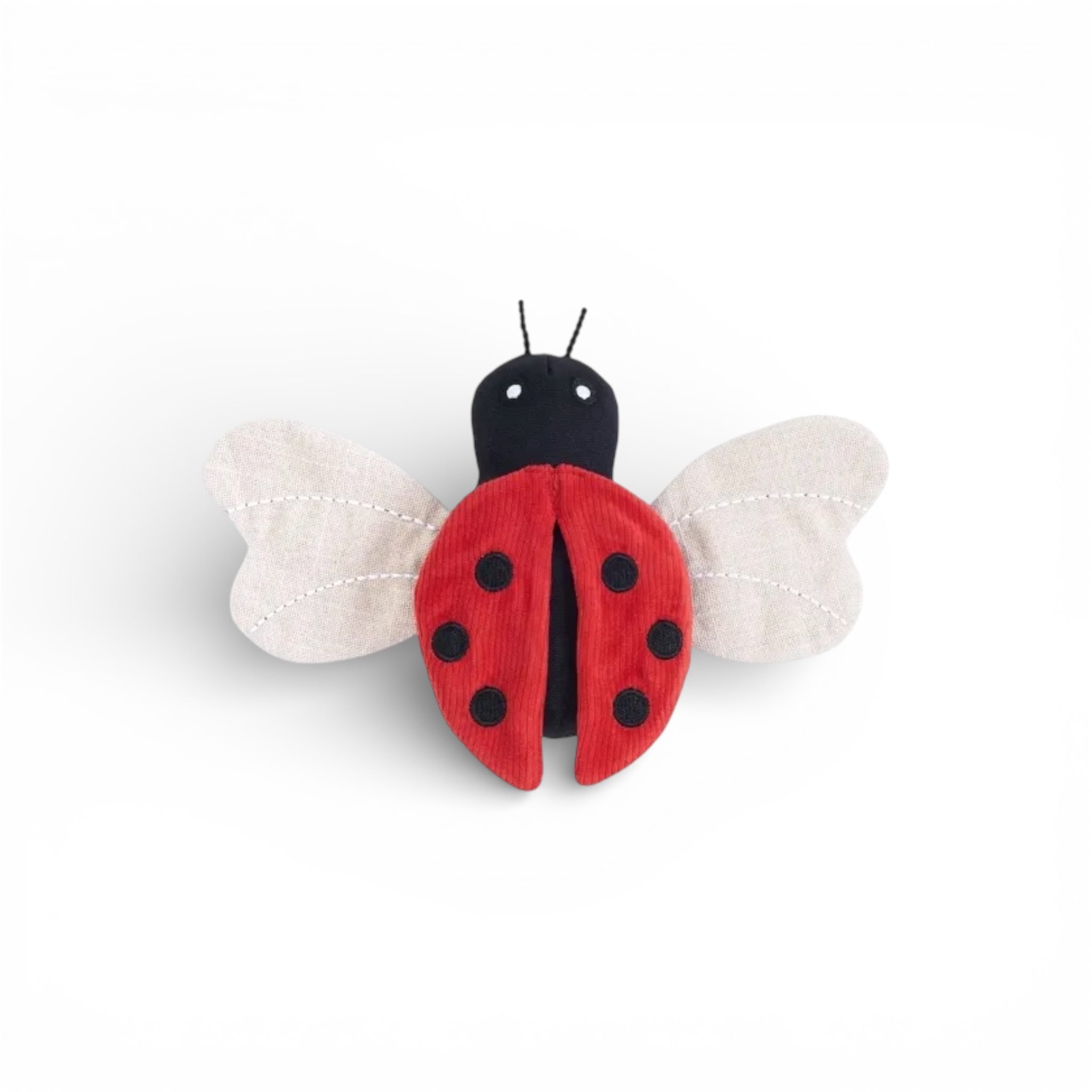 Ladybug