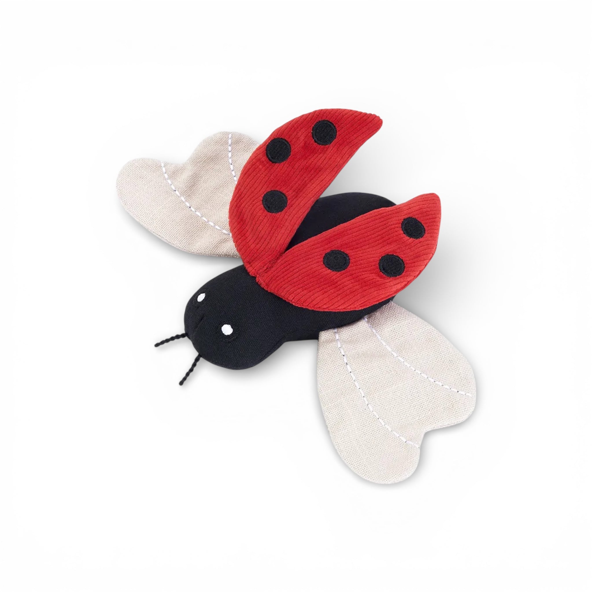 Ladybug