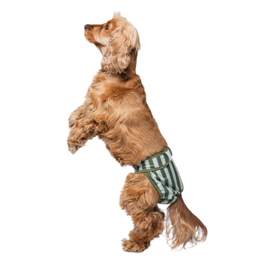 Period pants strepen