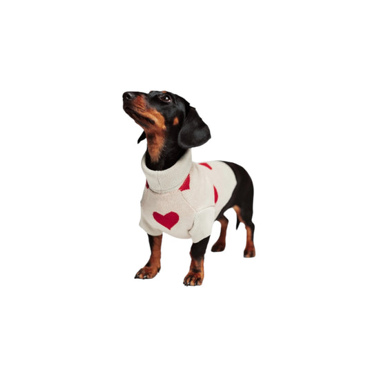 Dog sweater red hearts