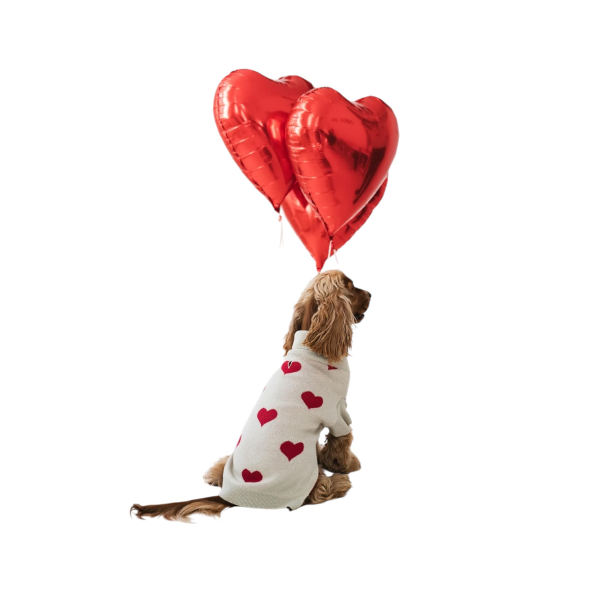Dog sweater red hearts